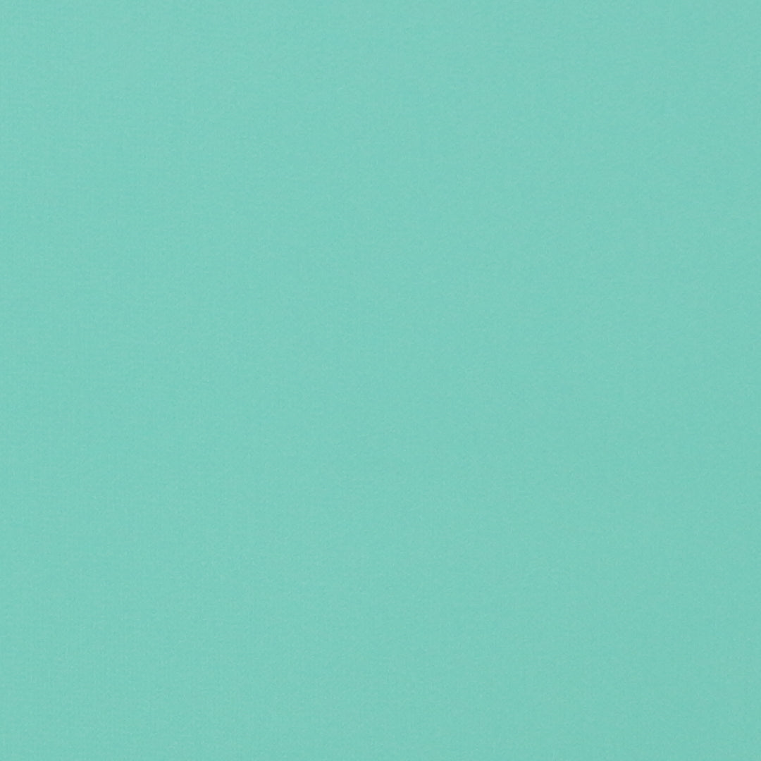 ◆ECJ-0024/ポリエステルシフォン