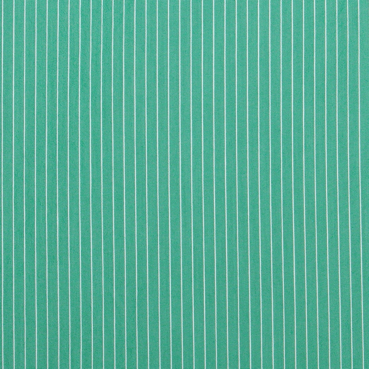 ECJ-0057/ ECOストライプ